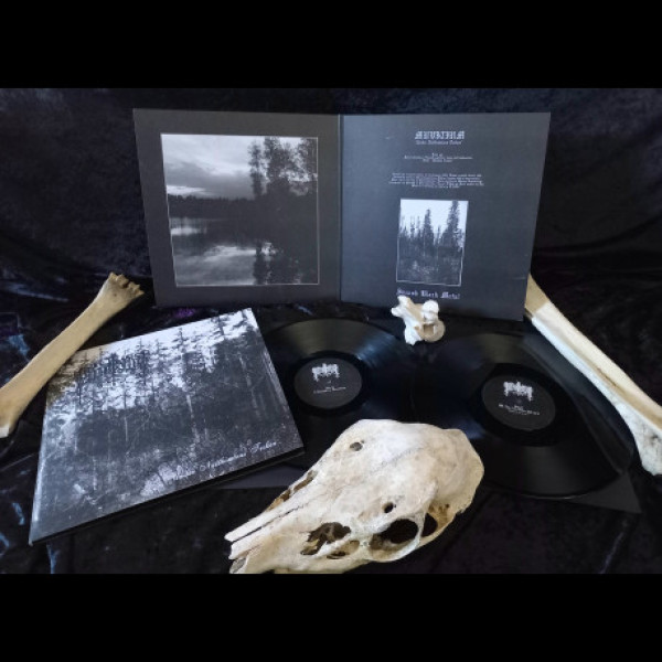 Muvitium - Under Natthimlens Tecken DLP